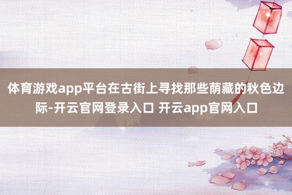 体育游戏app平台在古街上寻找那些荫藏的秋色边际-开云官网登录入口 开云app官网入口